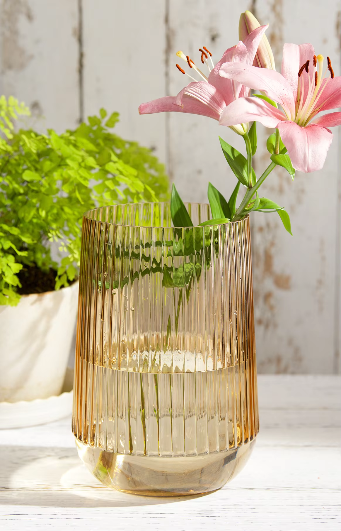glass vase.png